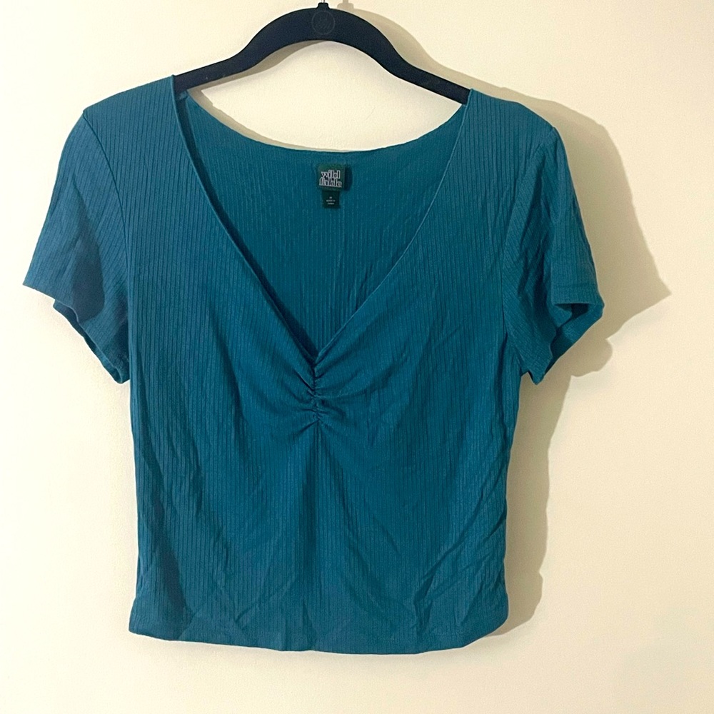 Wildfable Blue V-Neck Crop Top